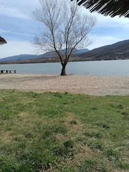 Obala Bovanskog jezera u senci drveta